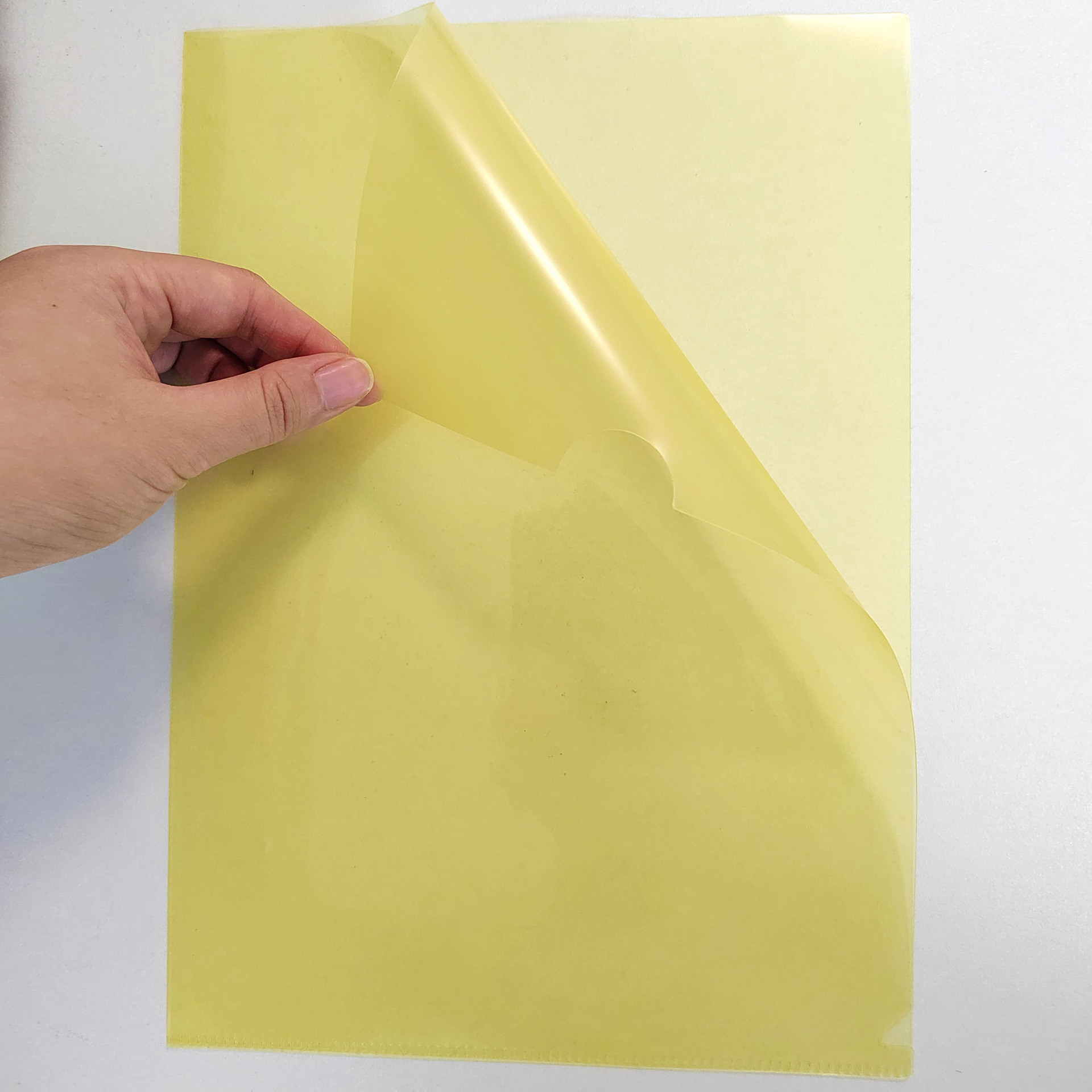 Picture of a4 a5 single-page folder wholesale pp plastic transparent color office folder printable logo