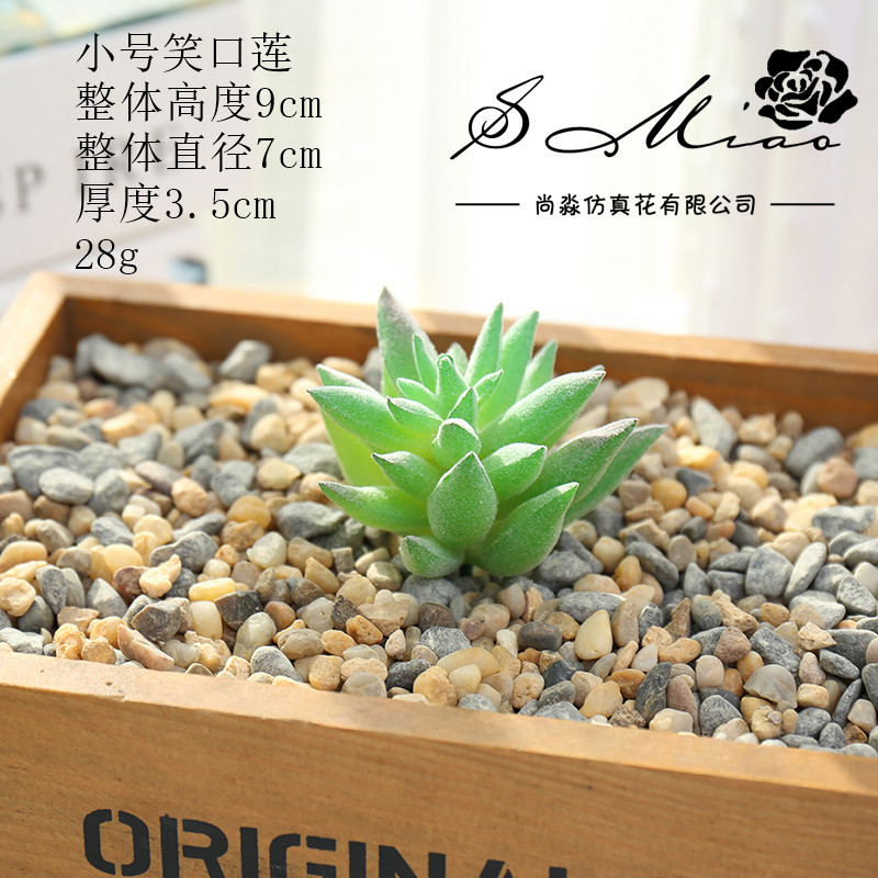 Picture of 003 Flocked Green Succulent Flower Head Creative DIY Supplies Bonsai Accessories Artificial Flower Jinhua Factory Direct Supply