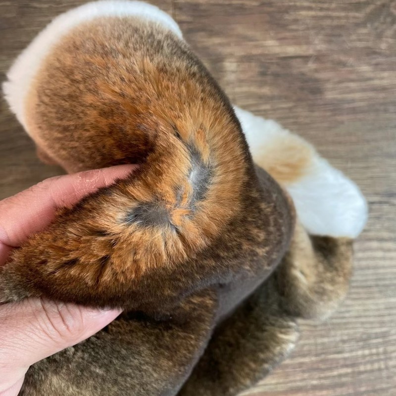 Wholesale grass yellow rex rabbit skin blue natural color lazy rabbit skin home leather decorative clothing hat collar raw materials