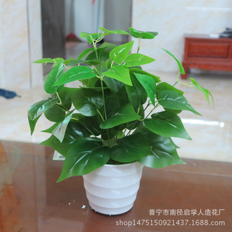 Eternal Flower Evergreen Leaf Simulation Plant Chicken Heart Leaf Evergreen White Net Leaf Wedding Supplies Green Rose Leaf Small Bundle