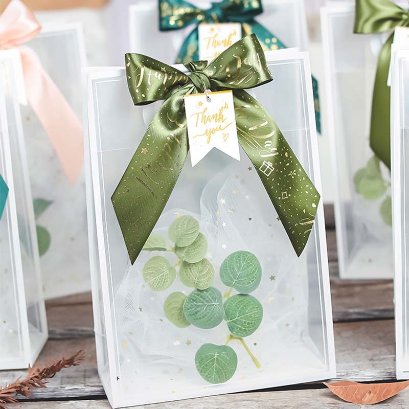 Creative Small Portable Gift Bag Simple Style Transparent Gift Bag Manufacturer Direct Sales New Plastic Handbag