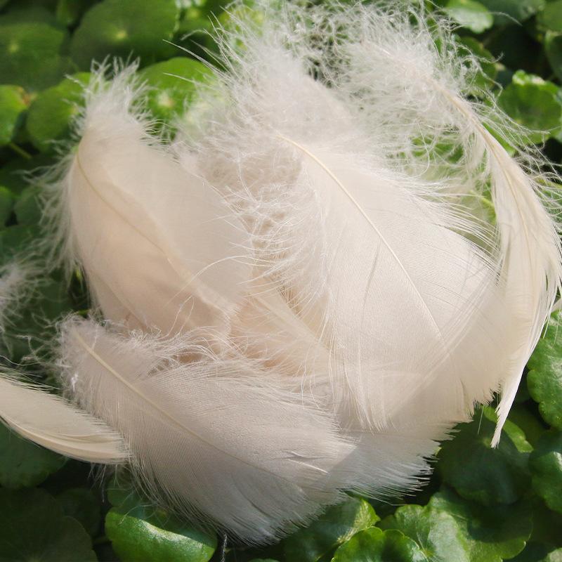 Picture of diy handmade color floating feather goose feather dream catcher wave ball gift box filling decoration materials