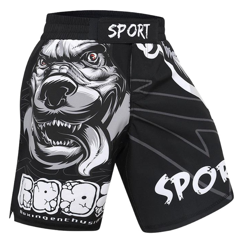 Fall 2019 New Fighting Training Competition Shorts Fighting Pants Sports Gym Jiu-Jitsu Sanda Men's Shorts