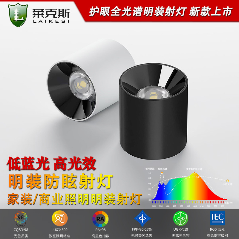 Downlight Aisle Balcony Home Hotel Shopping Mall Corridor Entrance Cob Simple Round Ceiling Led Surface Mounted Spotlight