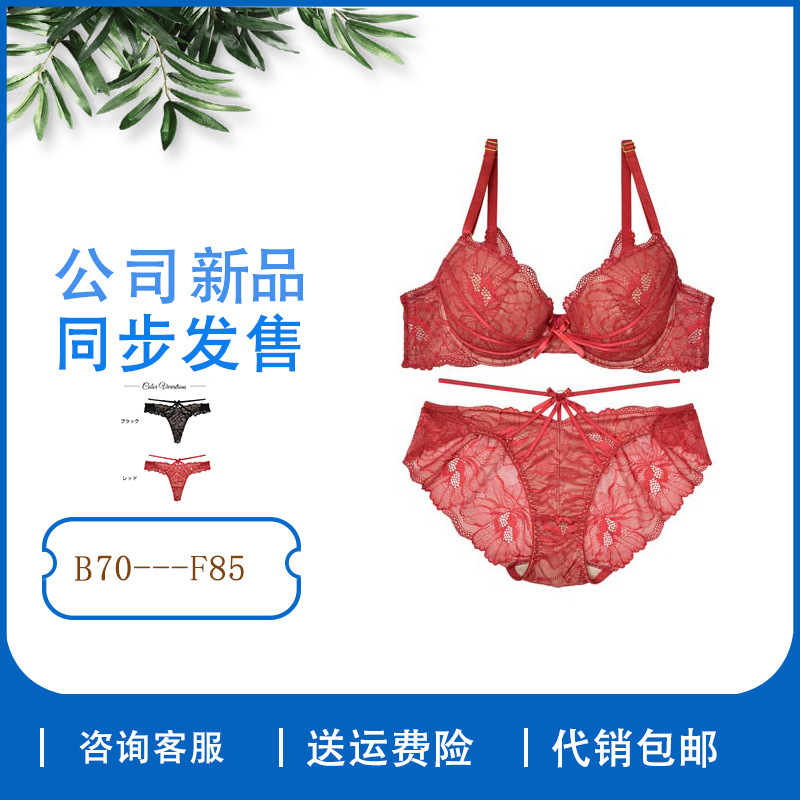 Japanese Style Bra Set with Big Flowers, Sexy Lace Intimates, T-Pants, Gathered Zodiac Year, Red to Show Big Breasts