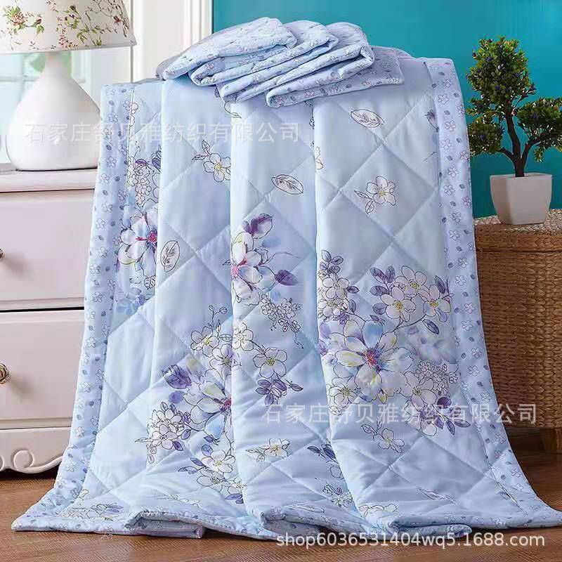 Picture of New Summer Cool Quilt Air-Conditioned Quilt Single and Double Thin Quilt Company Welfare Gift Quilt Spring & Fall Quilt Core Machine Washable