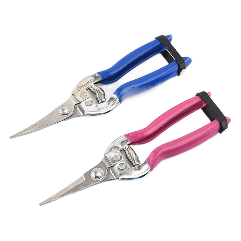 Factory Hot-Selling Stainless Steel Orchard Special Tools Pruning Shears Floral Shears Garden Household Fruit Garden Scissors