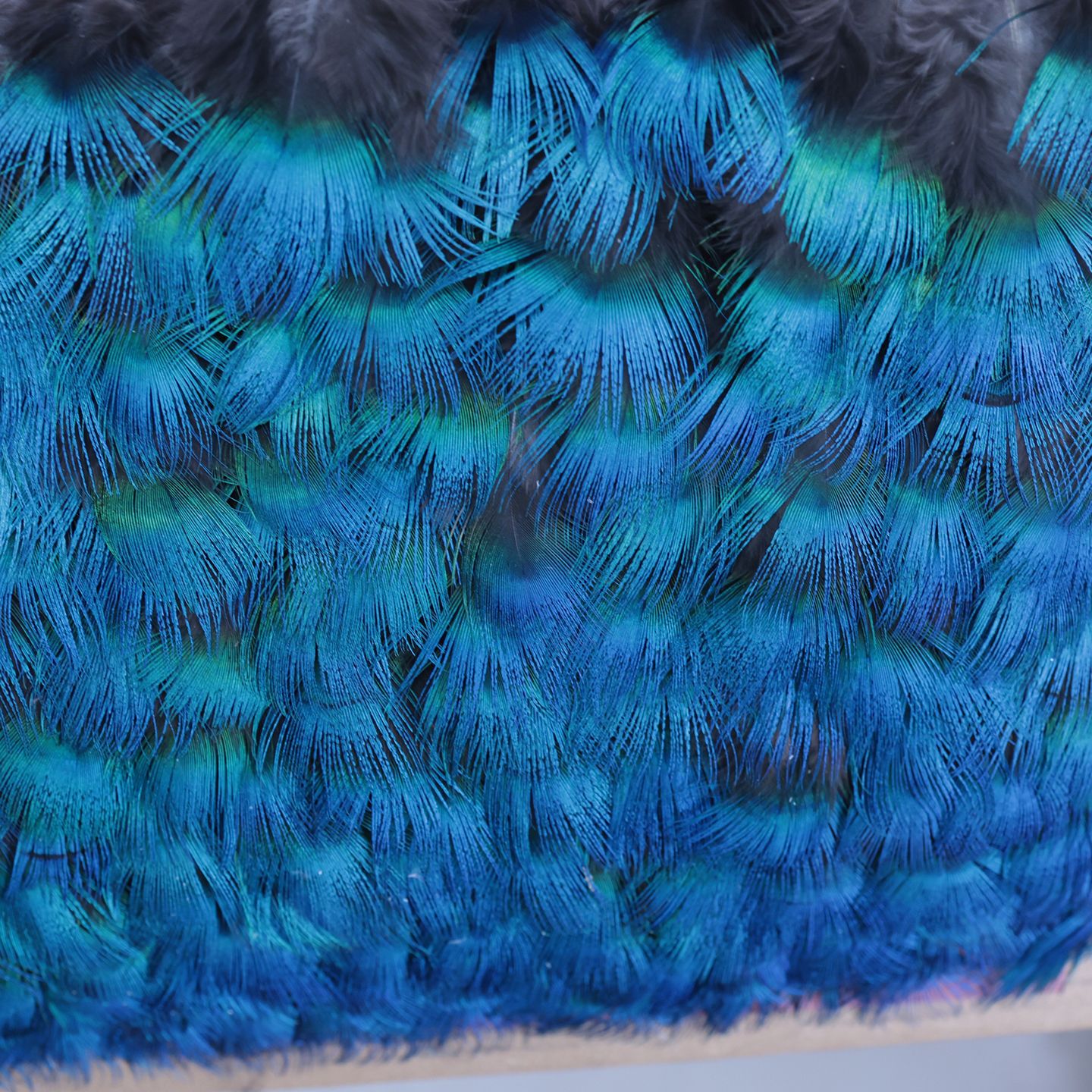Picture of Wholesale Peacock Blue Flakes 3-9cm Dot Green DIY Material Jewelry Clothing Crafts Decorative Feather Accessories Can Be Mixed