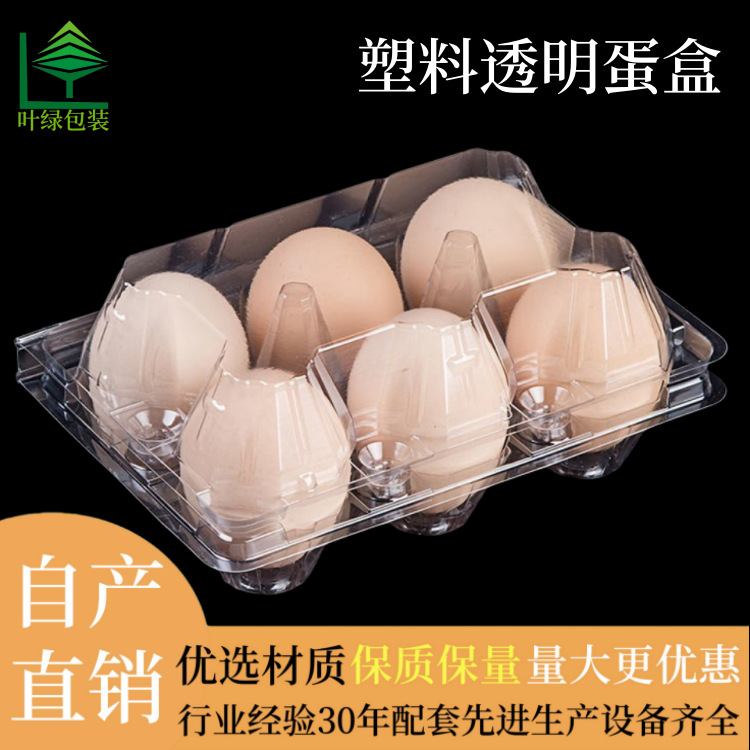 Egg Packaging Box Manufacturer 6-Pack Transparent Plastic Duck Egg Tray Goose Egg Box Disposable Quail Egg Tray Wholesale