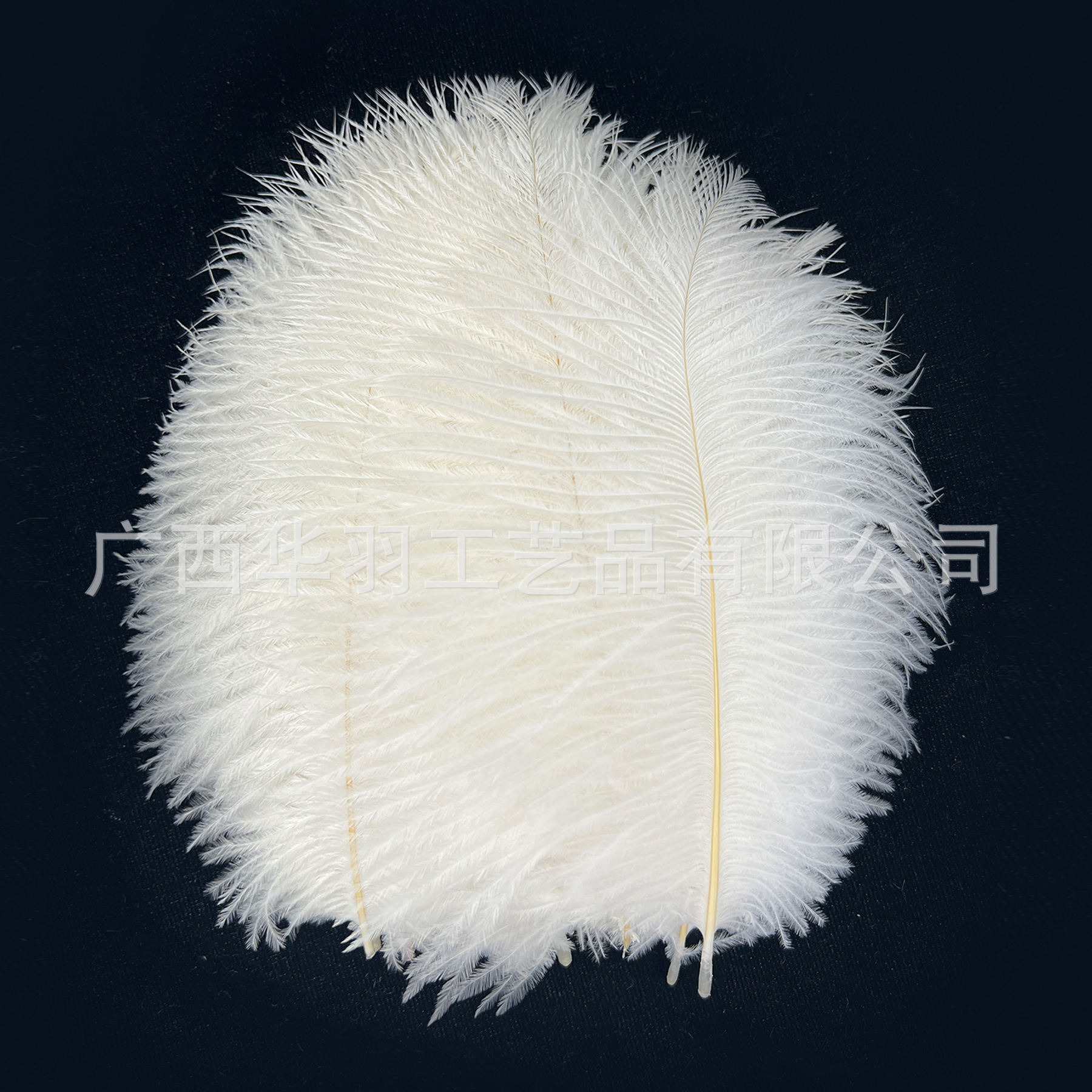 Picture of 10-15cm ostrich hair source factory bouquet wedding decoration feather wall handmade DIY crafts stage clothing