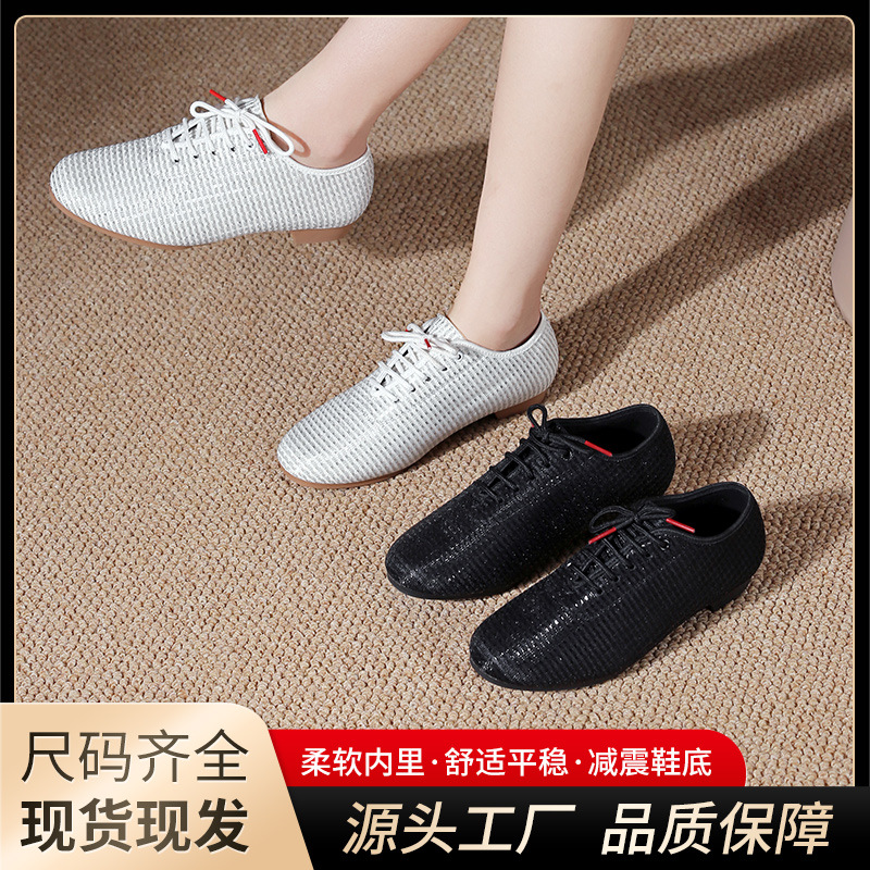 Summer Low-heeled Mesh Dance Shoes, Professional Body Training Dance Shoes, Breathable Women's Adult Dance Shoes, Square Dance, Ballroom Dance