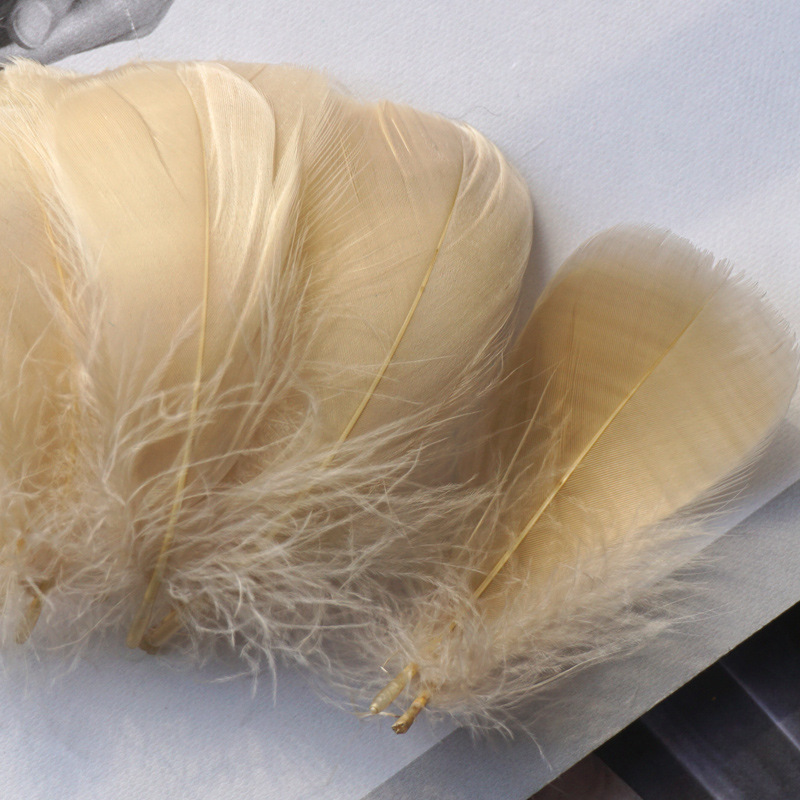 Picture of Color feather DIY floating dyeing goose feather dream catcher wave ball gift box filling decorative materials wholesale