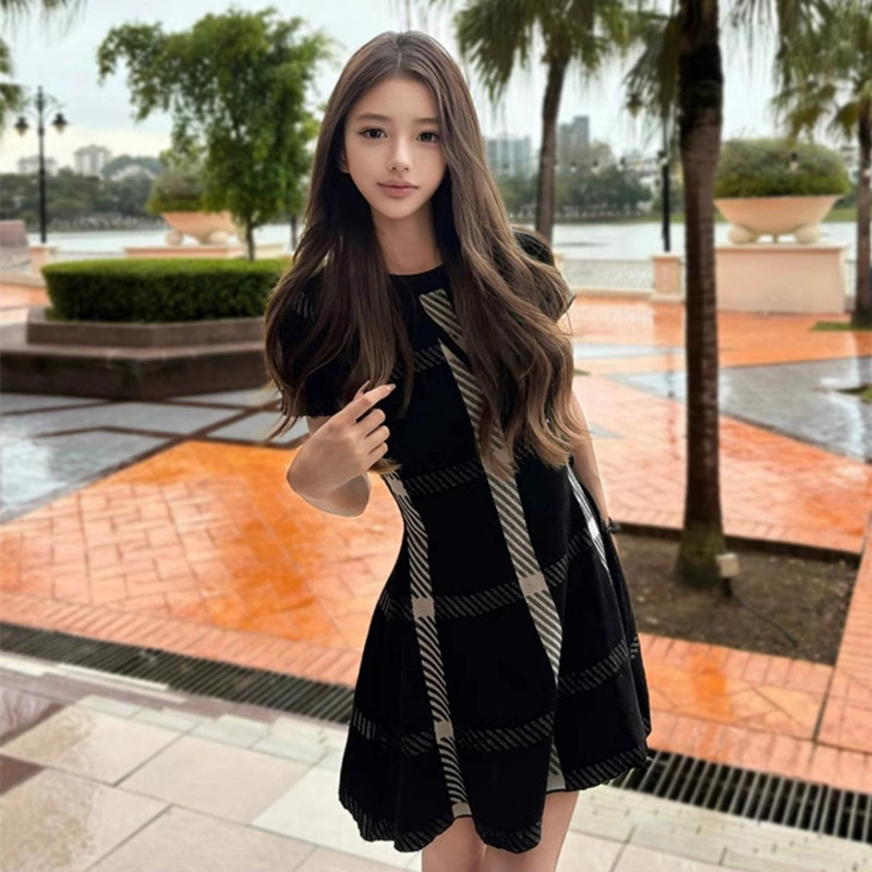 Summer 2025 French Style Retro Hepburn Style Knitted dress Women's Summer New High-end Style Elegant Socialite's Waist Skirt