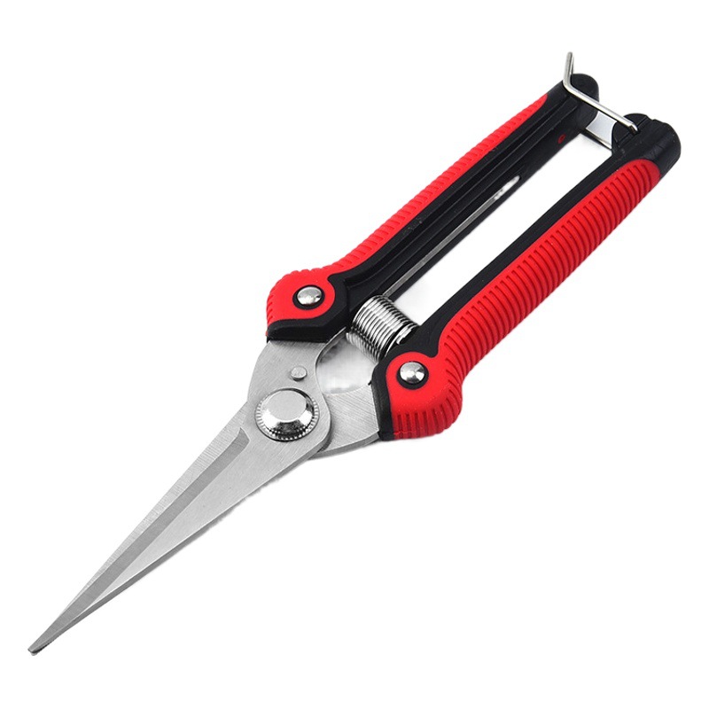 Spot professional stainless steel orchard fruit picking scissors pruning scissors grape rare fruit scissors pruning fruit branch scissors
