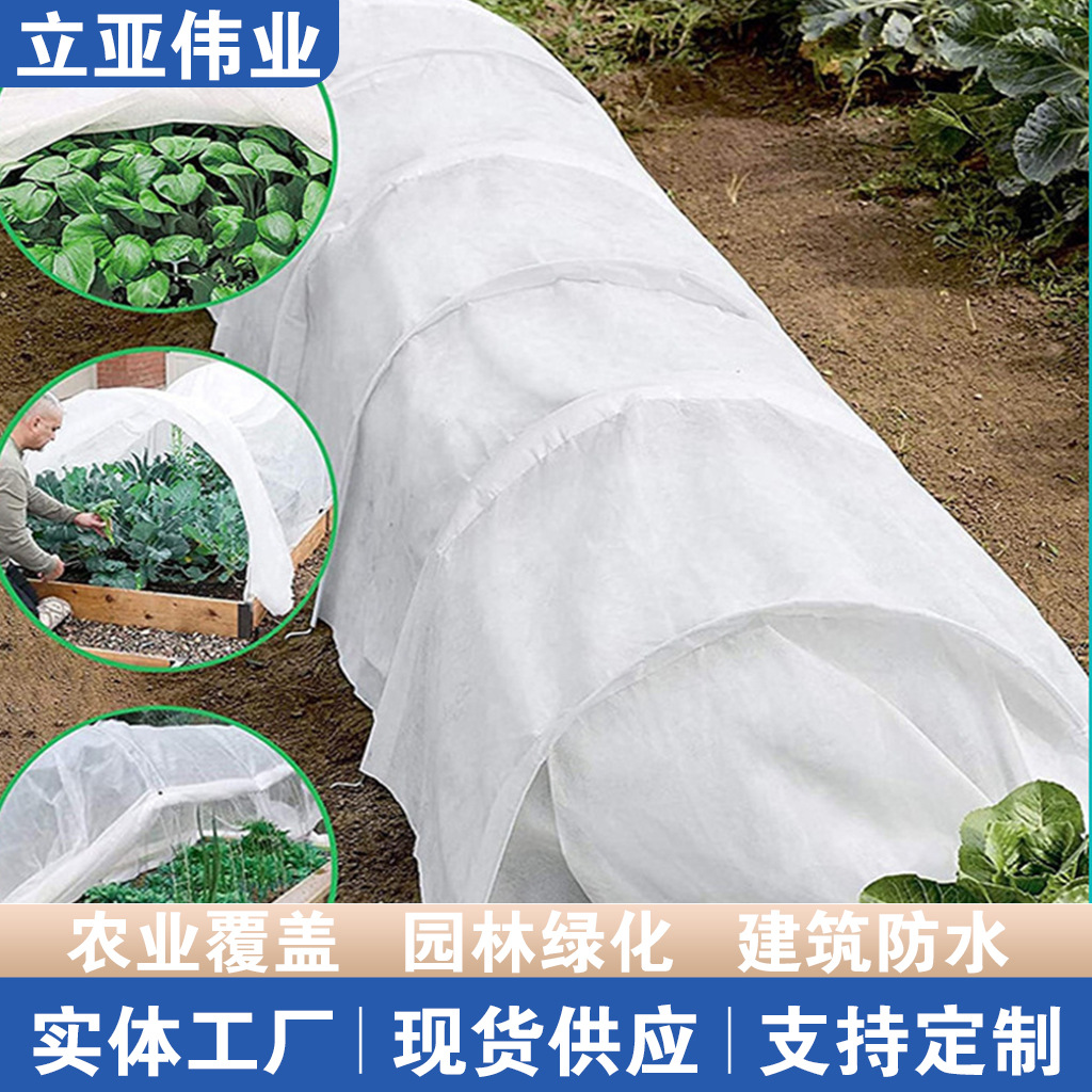 20g Seedling Non-Woven Plant Anti-Freeze Cover Spunbonded Non-Woven Fabric Manufacturer Winter Vegetable Plant Cover Cloth Agriculture
