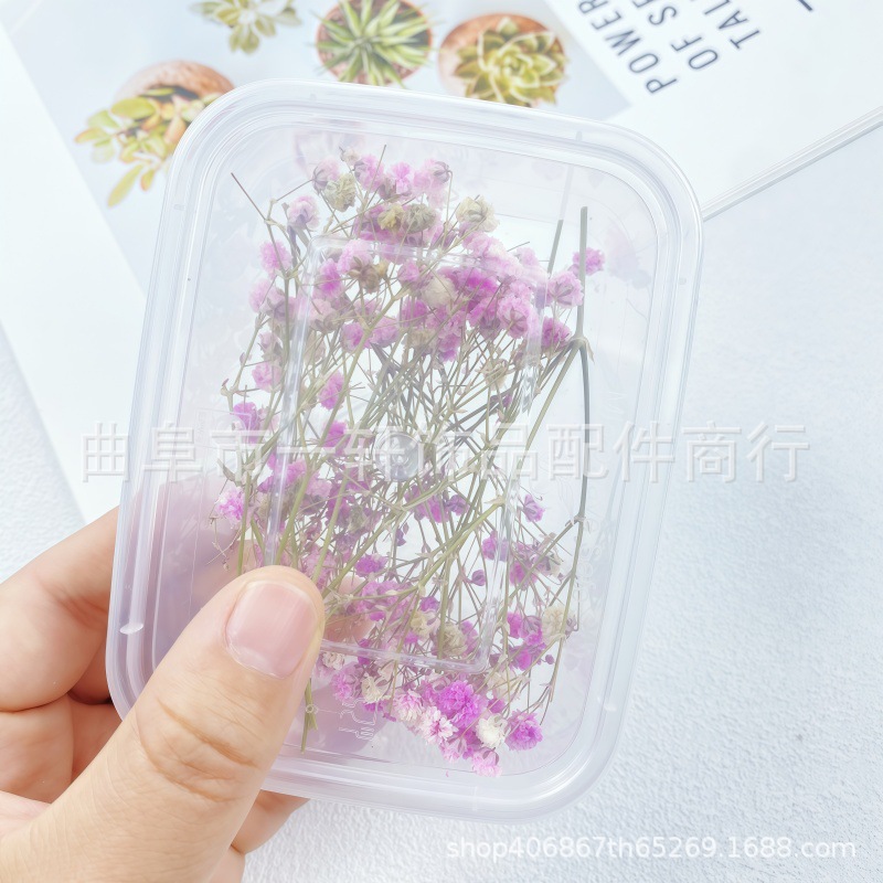 Dried Flower DIY Material Boxed Real Flower Air-Dried Forget-Me-Not Rose Lover Grass Gypsophila Decorative Flower Material Handmade