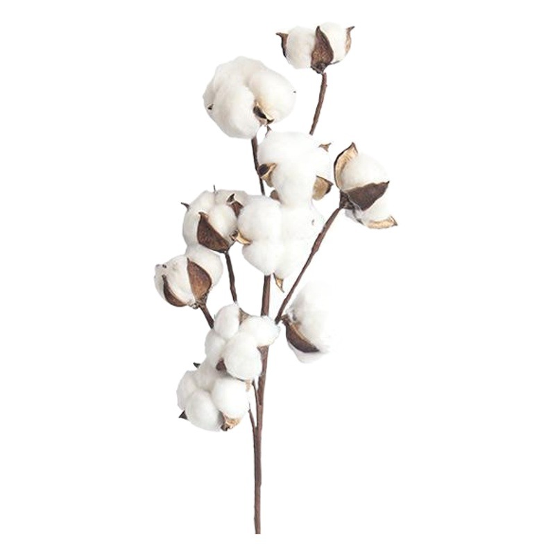 Artificial Flower Multi-Headed Cotton Branch Dried Flower Home Decoration Wedding Bouquet Plant Wall Artificial Flower Ready Supply