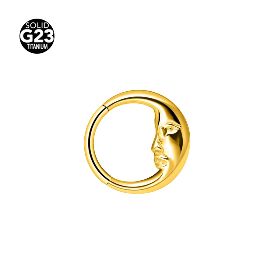 Picture of Cross-border explosions G23 titanium face triangle nose ring earrings 316 seamless nose ring ear ring body piercing jewelry