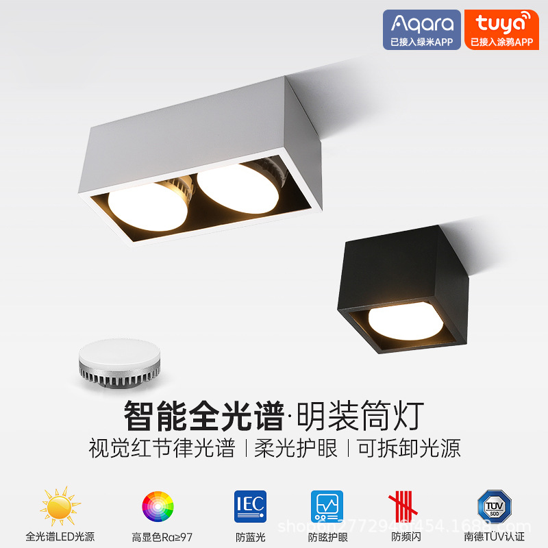 Ming-mounted downlight living room aisle porch double bravery square living room unhosted light smart box light