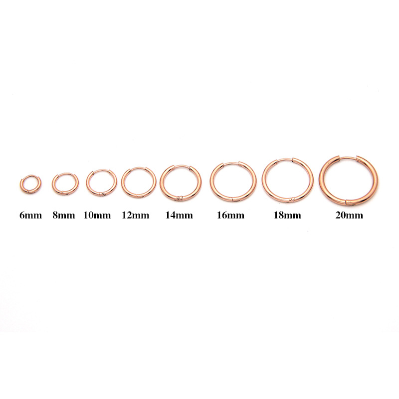 Picture of Cross-Border Titanium Steel Stainless Steel Earrings 1.6 Round Wire Earrings Ear Buckles Amazon Earrings Earrings Manufacturer Spot Wholesale