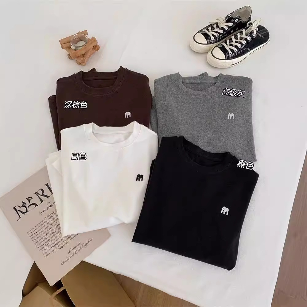 Simple Korean-style Embroidered Fleece Long-sleeved T-shirt Women's Loose Casual Interior high quality Thickened Round Neck Base Shirt