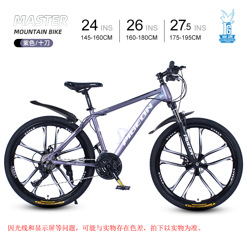 Picture of Flying Pigeon Bike Men's Cross-country Variable Speed Mountain Bike 24 Inch Outdoor Sports Cycling Road Bike