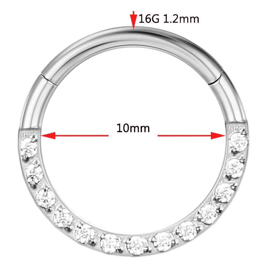 Picture of CNC factory 316L stainless steel puncture jewelry zircon ring closed ring seamless nose ring multifunctional cartilage earrings