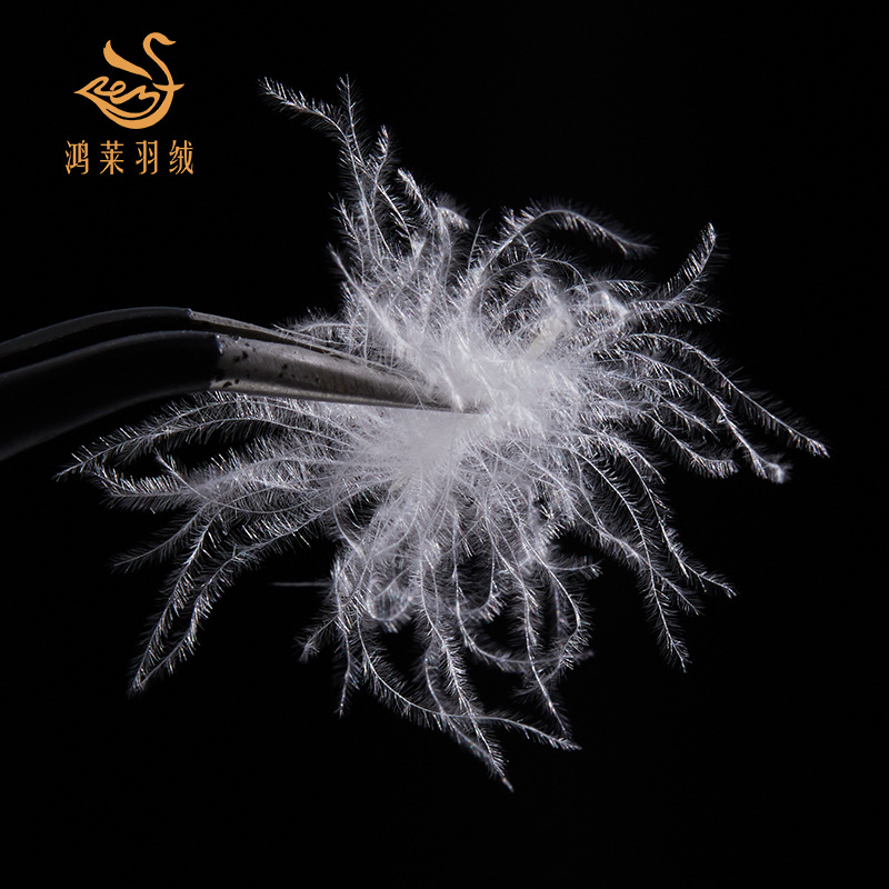 Picture of Bulk down Pure White down Jacket down Comforter Raw Material Filling 80 Old Standard Washed Large White Duck down Raw Material