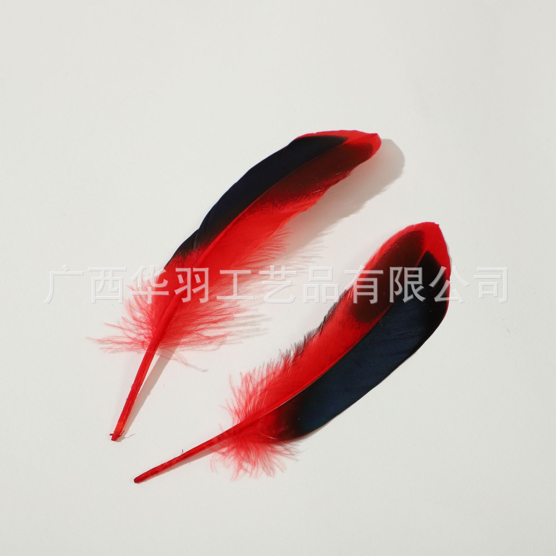 Picture of DIY Feathers, Natural Duck Feathers, Duck Feathers for Jewelry, Indian Headdress, Handmade Craft Decoration Materials, Creative and Natural