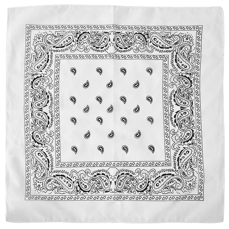 Picture of Factory Wholesale European and American Cashew Flower Square Scarf Outdoor Sports Cycling Hip-Hop Spot Pure Cotton Insect Printed Headscarf
