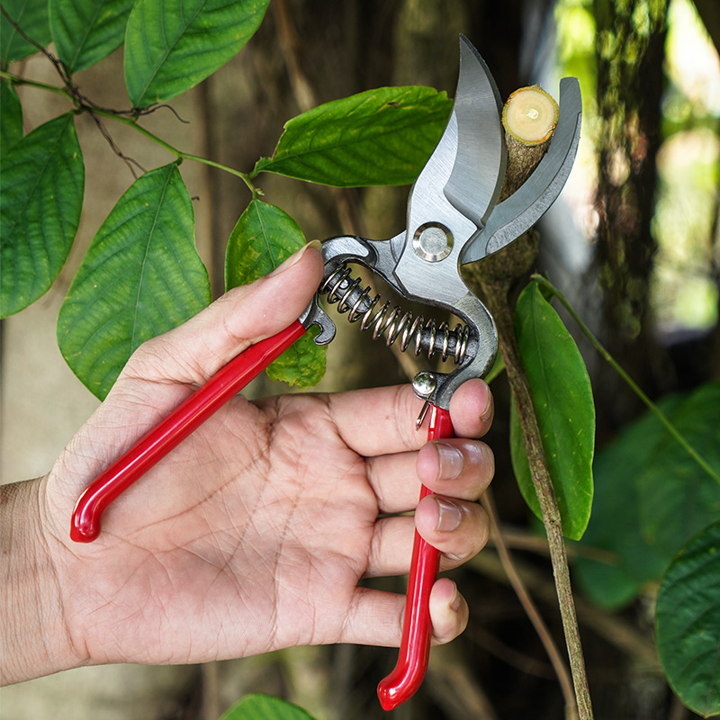 Picture of Pruning shears stainless steel multifunctional gardening shears orchard flower branches grafting branches garden branch tool shears fruit picking