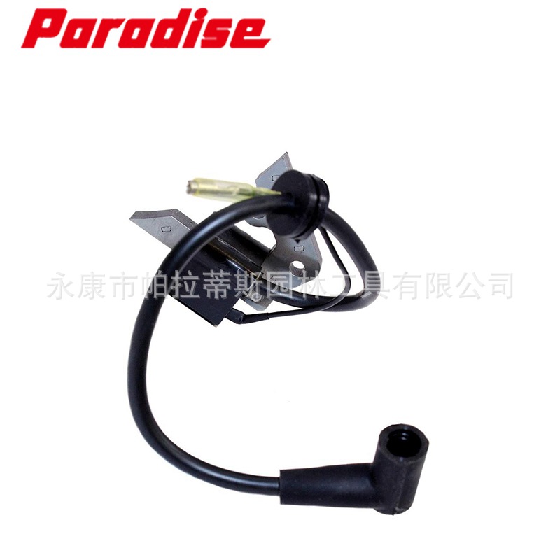 Ignition Coil of high voltage pack igniter Robin WI-450V Ignition Coil EY2357013008