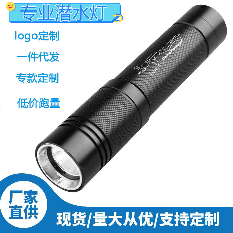 Manufacturers amphibious 100 meters waterproof flashlight rechargeable super bright long-range underwater professional diving lights