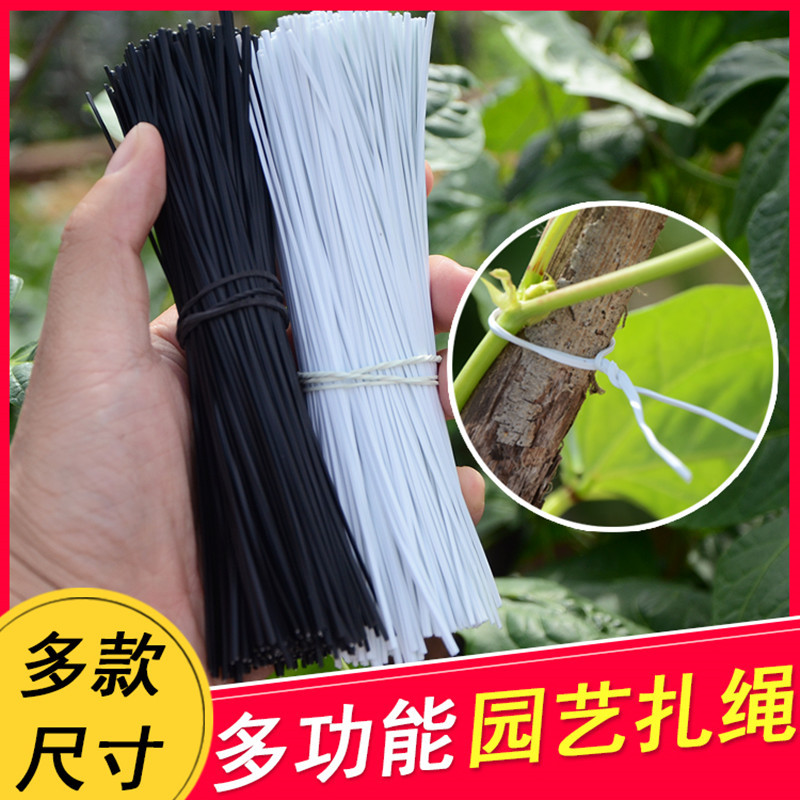 Tie Wire Electro-galvanized Iron Coated Plastic Wire Grape Tie Wire Plastic Power Cord Cable Tie Strapping Rope