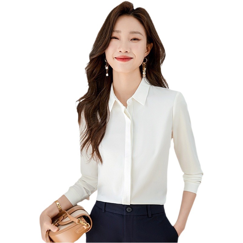 Professional Dress Women's Shirt Small Spring and Autumn 2023 New Design Sense Niche Teachers Interview White Shirt