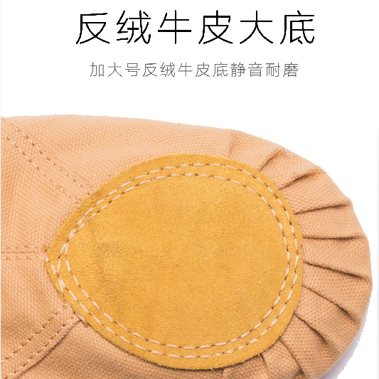 Picture of Adult Children Dance Shoes Women Wholesale Soft Bottom Practice Shoes Men's Cat Claw Shoes Dance Body Yoga Ballet Shoes