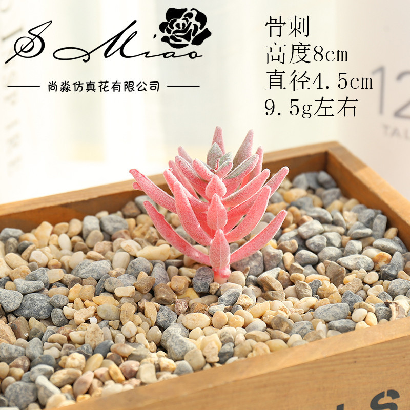 Picture of 006 Flocked Red Series Succulents Creative DIY Supplies Accessories Factory Direct Supply Wholesale Artificial Green