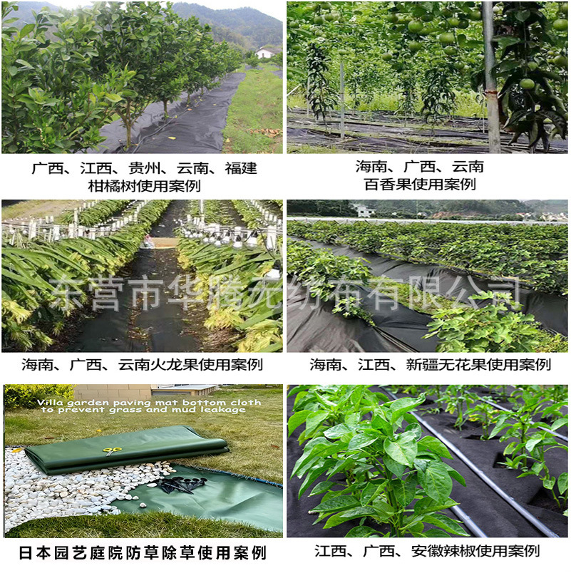 Picture of Manufacturer supply: agricultural weed control and weed control nonwoven fabric, breathable and water-permeable perforated sliced orchard fruit tree weed cover fabric