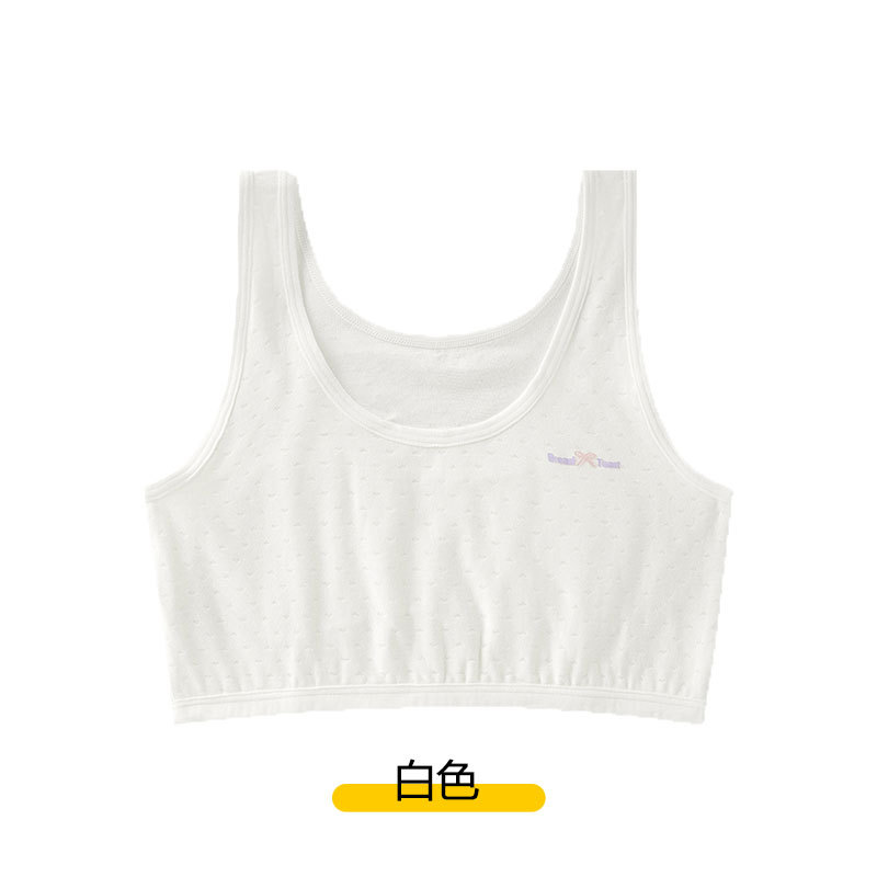 Picture of Strict Selection of Small Vest Female Students in Budding Stage of Development Junior High School Underwear Double Shoulder Strap Vest Girl Bra