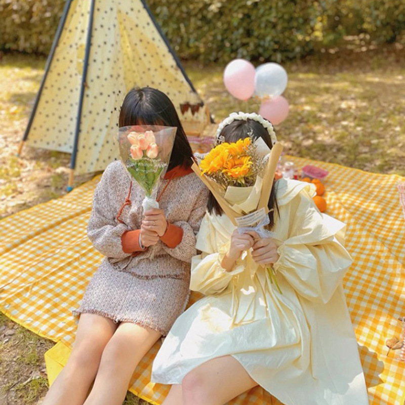 Picture of Outdoor Picnic Mat Park Outings Portable Waterproof Thickened Picnic Mat Non-woven Spring Outing Tent Moisture-proof Mat