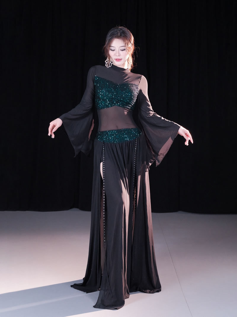 Dancer Belly Dance New suit Simple Elegant Mesh Oriental Dance Performance Practice Team Dress Class Dress 5081