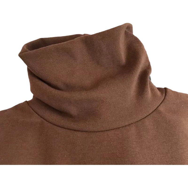 Double-Sided Velvet Constant Temperature Warm T-Shirt Women's Long-Sleeved High Collar Base Shirt Autumn and Winter Korean-Style New Inner Top