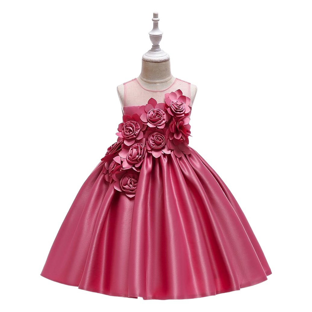 Amazon Princess Dress Kids Dress Host dress Girl Flower Princess Show Dress Stage Children's Dress