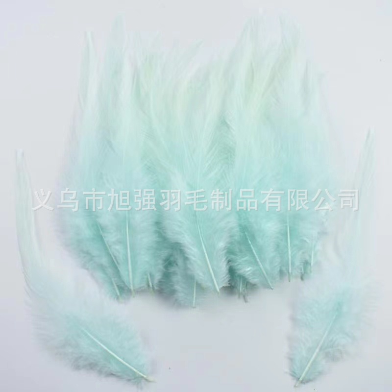Picture of Feather wholesale sharp feather color chicken feather big white tip diy dream catcher handmade crafts earrings clothing accessories