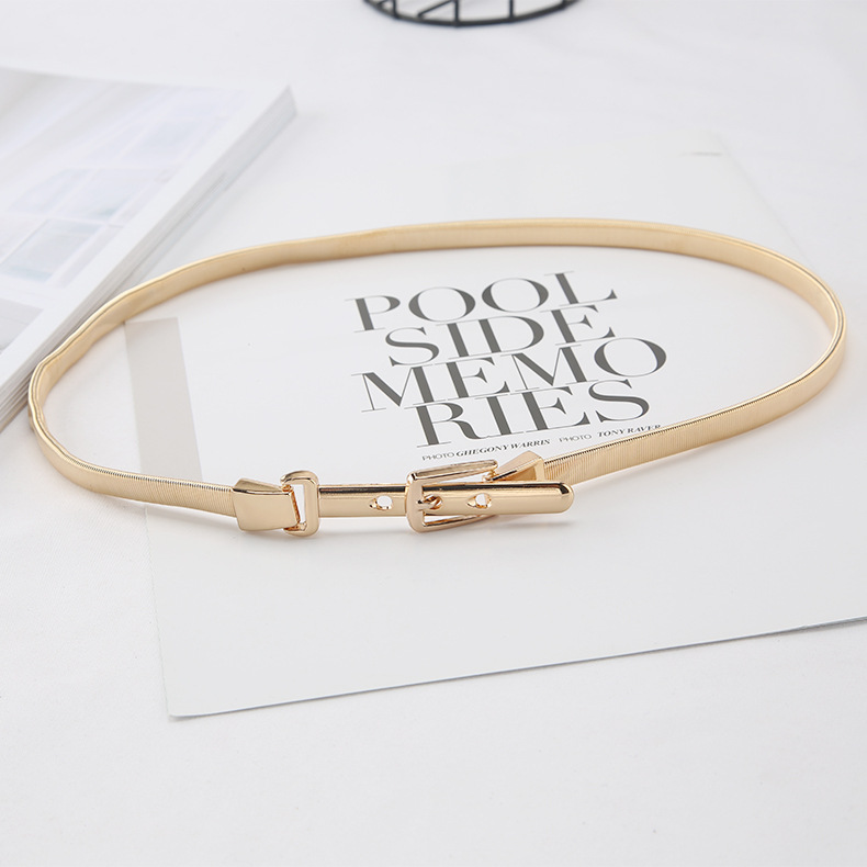 Picture of Metal Spring Belt for Women, Korean Style, Fashionable and Versatile, Dress, Shirt, Sweater, Elastic Waist Chain, Girdle