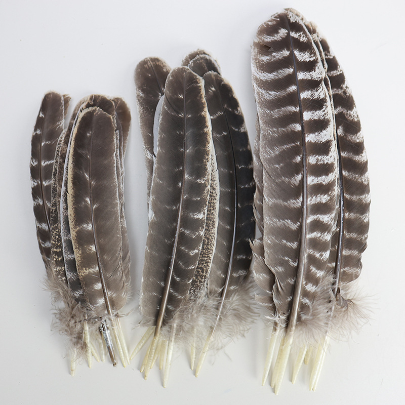 Picture of Wholesale natural striped flower chicken nest feather feather feather DIY craft jewelry decoration handmade accessories material turkey feather