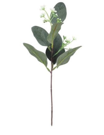 Picture of Eucalyptus leaves eucalyptus leaves simulation single simulation green plant christinae multicolor Frost White Frost eucalyptus