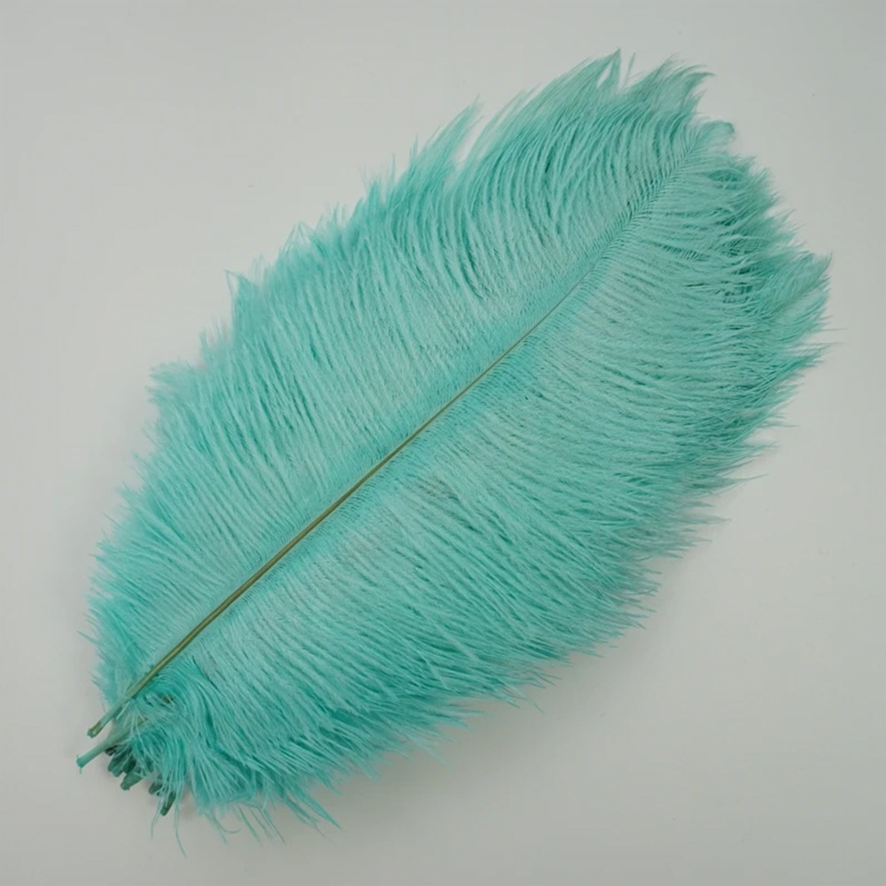 Picture of Ostrich hair 15-20cm mask color feather ear picking accessories DIY jewelry wedding decoration props a variety of colors
