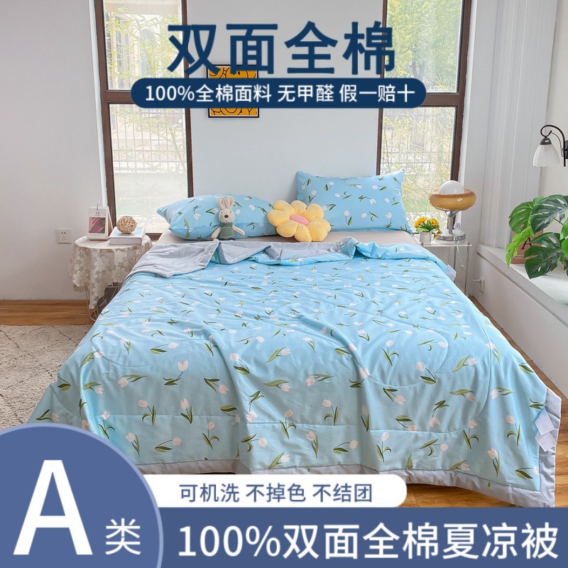 Picture of Class A double-sided cotton summer quilt air conditioning quilt 100 cotton summer quilt single-pair machine washable summer thin quilt wholesale