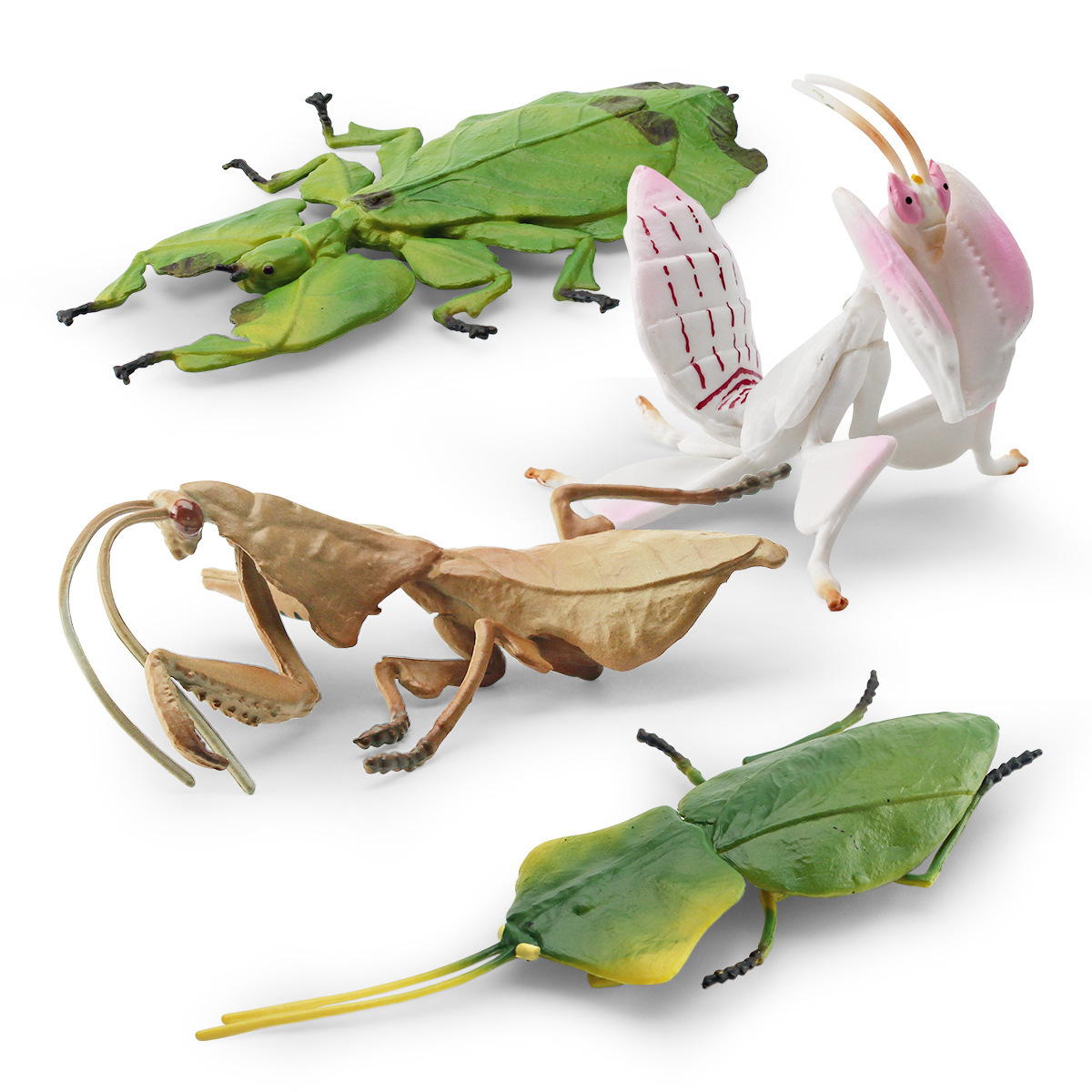 Simulation 4 insect animal model Sishi leaf back giant leaf dead leaf mantis orchid mantis static ornaments